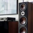 Dali Oberon 9 Dark Walnut Kolumny Stereo Autoryzowany Dealer - 2