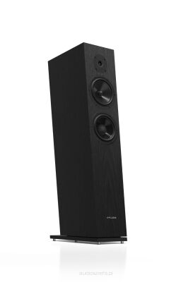 Pylon Audio Diamond 28 mk2 Lakier Bezbarwny Dąb Natural Kolumny Stereo Autoryzowany Dealer