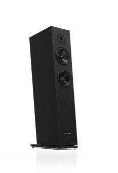 Pylon Audio Diamond 28 mk2 Lakier Bezbarwny Dąb Natural Kolumny Stereo Autoryzowany Dealer