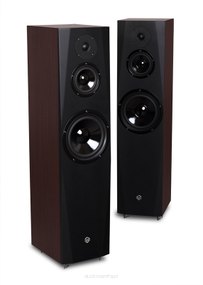 Pylon Audio Sapphire 31 Orzech