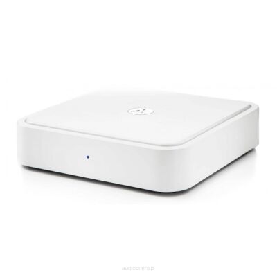 Argon Audio SOLO Biały Odtwarzacz Sieciowy Autoryzowany Dealer