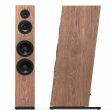 Pylon Audio Diamond 30 mk2 Olejowosk Mahogany Oak Kolumny Stereo Autoryzowany Dealer - 3