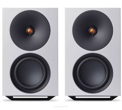 Cambridge Audio L/R X (biały)