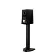 Paradigm Founder 40B Black Walnut - 8