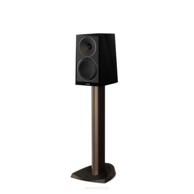 Paradigm Founder 40B Black Walnut