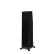 Paradigm Founder 80F Black Walnut - 3
