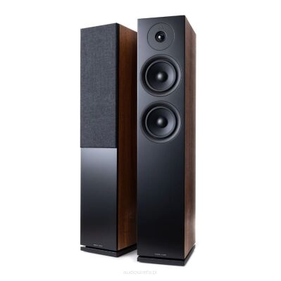 Argon Audio FORUS 55 Orzech Kolumny Stereo Autoryzowany Dealer - PARA