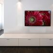 Martin Logan Edge - 3