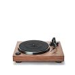 Argon Audio AURORA Walnut – gramofon z napędem bezpośrednim - 2