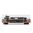 Argon Audio AURORA Walnut – gramofon z napędem bezpośrednim - 4