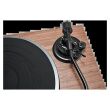 Argon Audio AURORA Walnut – gramofon z napędem bezpośrednim - 5