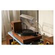Argon Audio AURORA Walnut – gramofon z napędem bezpośrednim - 6