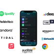 Odtwarzacz sieciowy Arylic WiiM PRO WiFi, Bluetooth Autoryzowany Dealer - 5