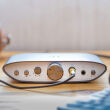 IFi Audio Zen Can wzmacniacz słuchawkowy Autoryzowany Dealer - 2