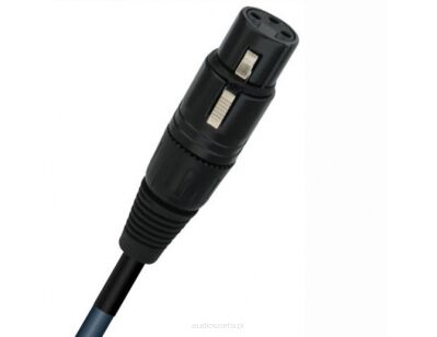 WireWorld Oasis 8