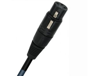 WireWorld Oasis 8