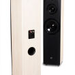 Pylon Audio Sapphire 31 Wenge Autoryzowany Dealer - 3