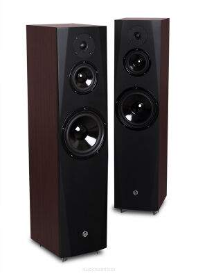 Pylon Audio Sapphire 31 Wenge Autoryzowany Dealer