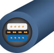 WireWorld Oasis 8 - 2