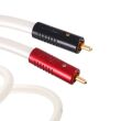 Atlas Equator Achromatic RCA 1m Autoryzowany Dealer - 2