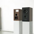 Pylon Audio Opal Sat Orzech Kolumny Autoryzowany Dealer - 4