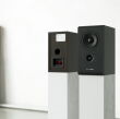 Pylon Audio Opal Sat Orzech Kolumny Autoryzowany Dealer - 8