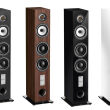 Kolumny podłogowe Triangle Esprit Gaia EZ Walnut Autoryzowany dealer - 8