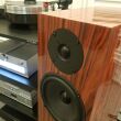 Pylon Audio Emerald HF palisander Autoryzowany Dealer - 2