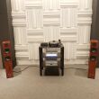 Pylon Audio Emerald HF palisander Autoryzowany Dealer - 3