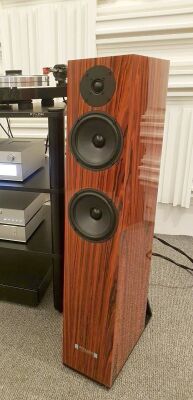 Pylon Audio Emerald HF palisander Autoryzowany Dealer