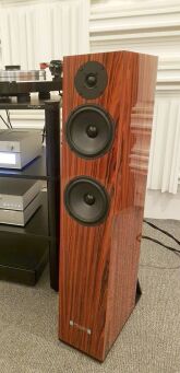 Pylon Audio Emerald HF palisander Autoryzowany Dealer