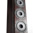 Vienna Acoustics Beethoven Concert Grand Reference Cherry Kolumny Stereo Autoryzowany Dealer - 8