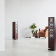 Audiovector QR 5 Ciemny orzech Autoryzowany Dealer - 2