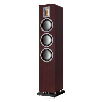 Audiovector QR 5 Ciemny orzech Autoryzowany Dealer