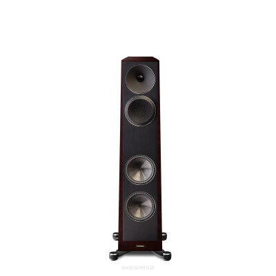 Paradigm Founder 80F Midnight Cherry