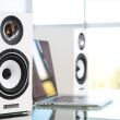 Kolumny podstawkowe Triangle Esprit Titus EZ Black Ash Autoryzowany dealer - 10