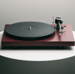 Pro-Ject DEBUT CARBON EVO 2 Orzech Gramofon Autoryzowany Dealer - 5