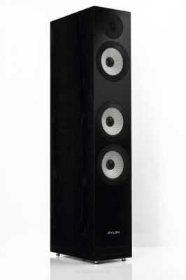 Pylon Audio Ruby 30 olejowosk