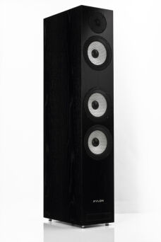 Pylon Audio Ruby 30 olejowosk