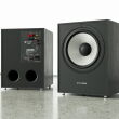 Pylon Audio Pearl Sub - Czarny Subwoofer 300W Autoryzowany Dealer - 6