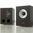 Pylon Audio Pearl Sub - Czarny Subwoofer 300W Autoryzowany Dealer - 14