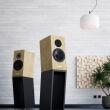 Pylon Audio Diamond Monitor 18 mk2 Czarny Orzech Amerykański Kolumny Stereo Autoryzowany Dealer - 5