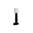 Paradigm Premier 120B v2 Satin White - 12