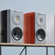 Audiovector R1 Signature African Rosewood Autoryzowany Dealer - 6