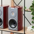 Audiovector R1 Signature African Rosewood Autoryzowany Dealer - 7