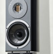 Audiovector R1 Signature African Rosewood Autoryzowany Dealer - 3