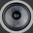 Focal VESTIA N°1 Kolumny Podstawkowe Ciemne Drewno Para Autoryzowany Dealer - 12