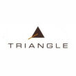 Triangle Borea BRS1 Kolumny Surround Dipol Czarne Autoryzowany Dealer - 9