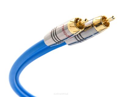 Melodika SB2R25 Kabel 2xRCA - 2x RCA Sky Blue - 2,5m Autoryzowany Dealer