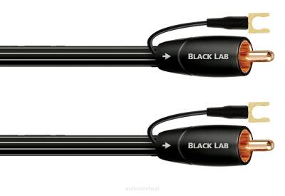 Audioquest Black Lab 5m Kabel Subwoofer Autoryzowany Dealer